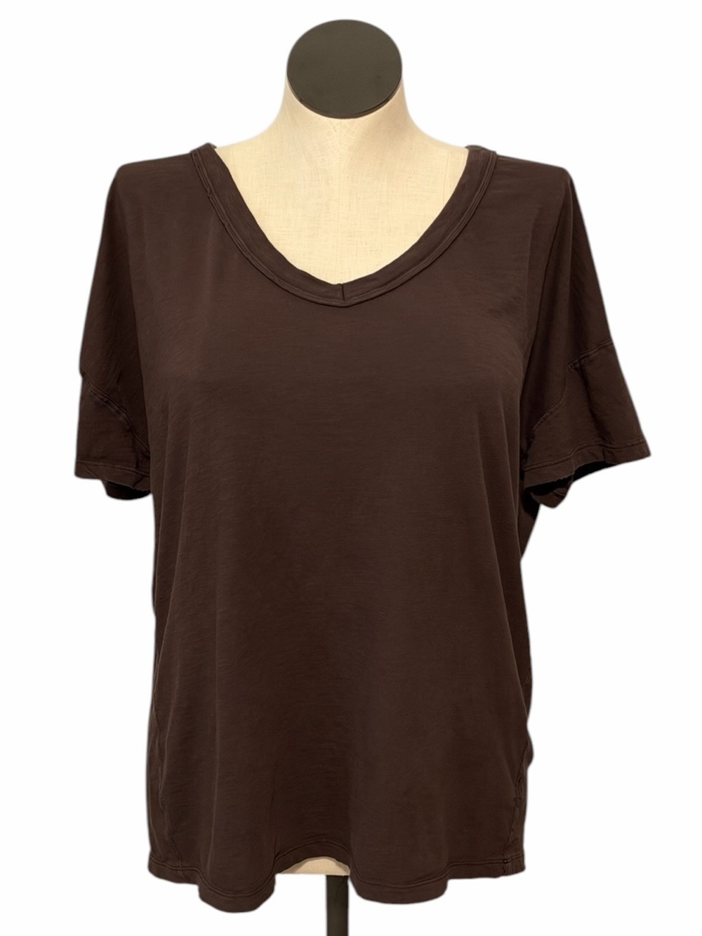 aerie Brown Oversized V-Neck Boyfriend T-Shirt